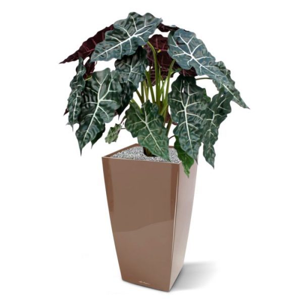 Kunstplanten die ideaal past binnen een modern interieur of als kantoorplant. Door zijn opbouw