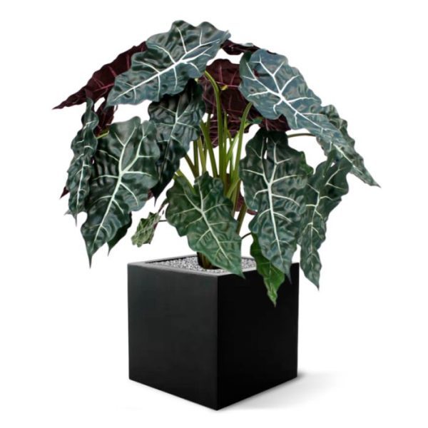 Groene kunstplanten de overvloed aan bladeren (maar liefst 24) en de hoge kwaliteit van de gebruikte materialen is deze plant bijna niet van echt te onderscheiden! De hoogte van de Alocasia is ongeveer 75 cm en de bladkleur is donkergroen met grijze bladnerven