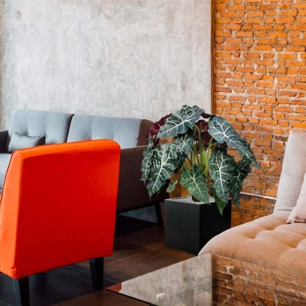 Alocasia-75-cm-kunstplant-5 zodat hij gemakkelijk in een sierpot te plaatsen is.