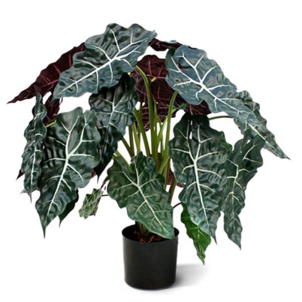 Alocasia-75-cm-kunstplant-6 Alocasia 75 cm kunstplant 6