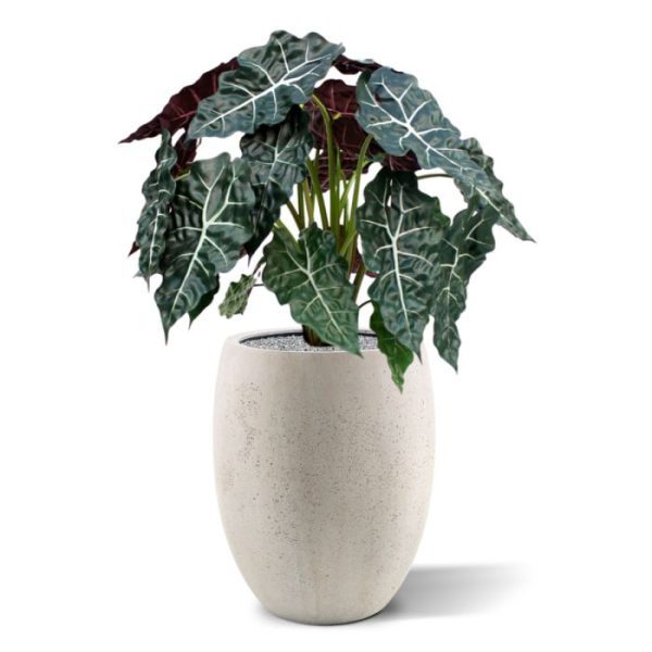 Alocasia-75-cm-kunstplant-8 Alocasia 75 cm kunstplant 8