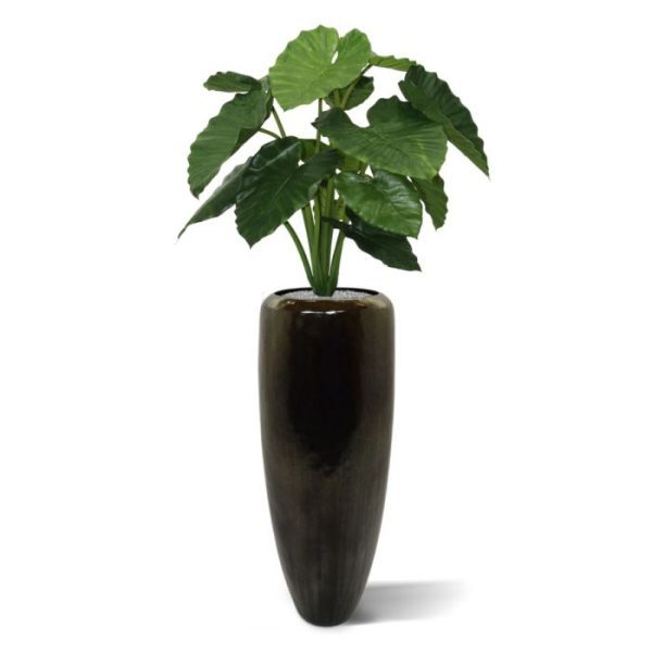 Kunstplanten die ideaal past in een modern interieur of als kantoorplant. De opbouw is van hoge kwaliteit en door de gebruikte materialen is deze plant bijna niet van echt te onderscheiden en bij uitstek geschikt voor presentatie in een hoog model pot.  De hoogte van deze mooie zijde plant is ongeveer 85cm en de diameter van de Alocasia is ongeveer 80cm. De decoratieve kunstplant heeft een diepgroene bladkleur. In Nederland wordt de Alocasia ook wel Olifantsoor genoemd.   Standaard wordt deze kunstplant in een plastic binnenpot geleverd