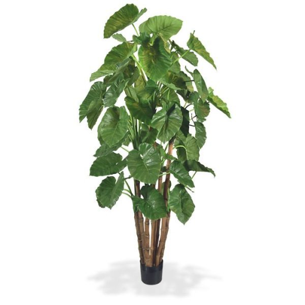 Alocasia-Calidora-Giant-kunstboom-deluxe-210-cm-4 Alocasia Calidora Giant kunstboom deluxe 210 cm 4