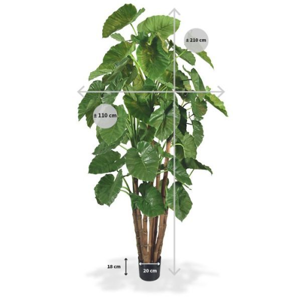 Alocasia Calidora Giant kunstboom deluxe 210 cm Nieuw - Alocasia Calidora Giant kunstboom deluxe 210 cm