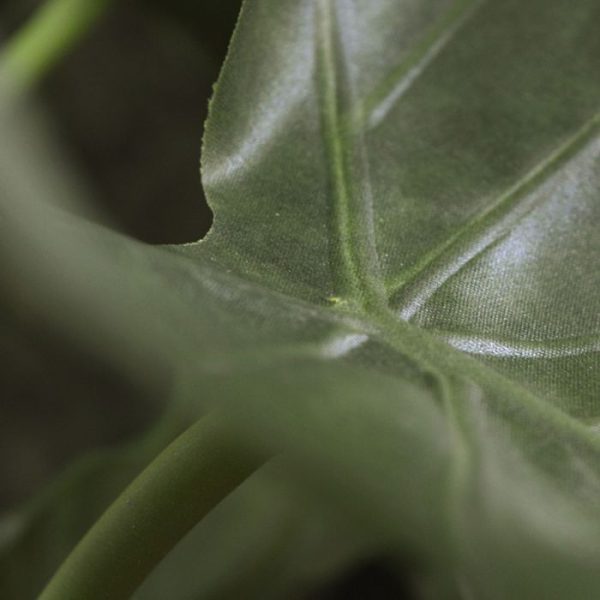 Alocasia-Calidora-kunstboeket-70-cm-3 Alocasia Calidora kunstboeket 70 cm 3
