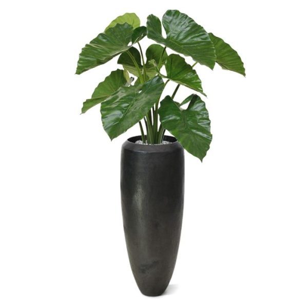 Alocasia Calidora kunstboeket 70 cm Deze zelf ontworpen Alocasia Calidora Deluxe kunstplant is in alle opzichten een bijzonder decoratieve plant! De grote bladeren zijn een perfecte imitatie van de echte Alocasia