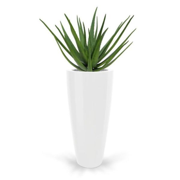Aloe-Deluxe-boeket-70-cm-4 Aloe Deluxe boeket 70 cm 4