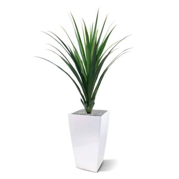 Kunstbomen ook wel Pandanus genoemd