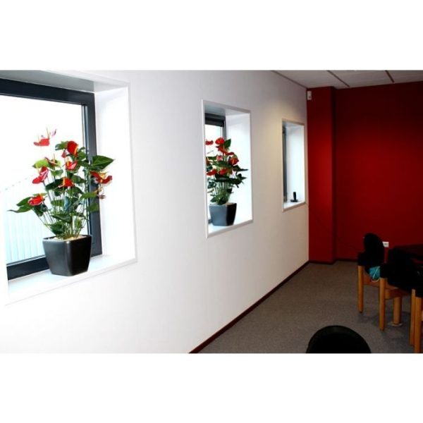 met maarliefst 13 bloemen