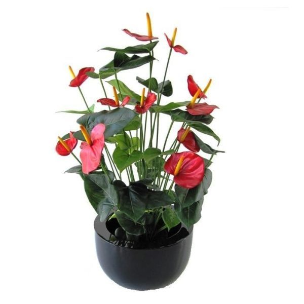 Anthurium Deluxe kunstplant 80 cm rood 6