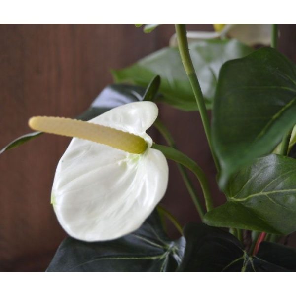 De bloeiende trend van het moment: de Anthurium kunstplant! Dit bloeiende Anthurium kunstplanten boeket