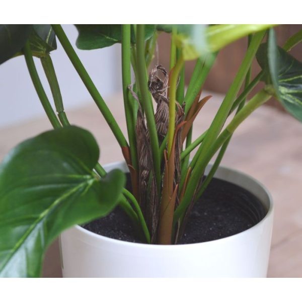 met maar liefst 4 bloemen