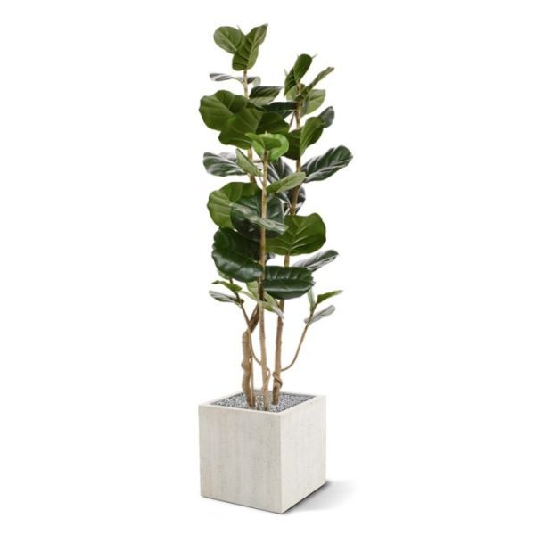 kunststof stammen. Door het grote aantal bladeren