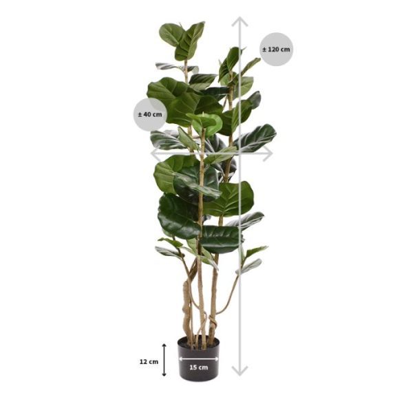 in combinatie met een drietal stammen heeft deze kunst Aralia een uitstekende prijs-kwaliteitverhouding. De kunstboom is 120 cm hoog
