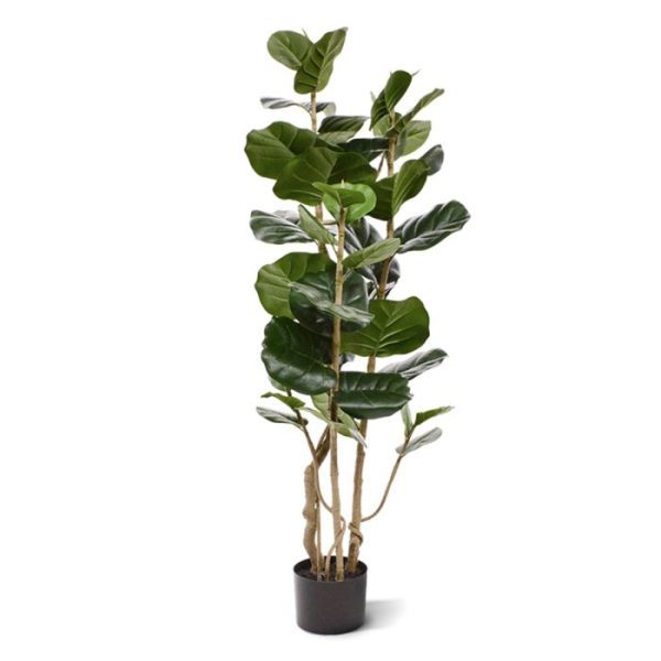 Aralia Polyscias kunstboom 120 cm 6