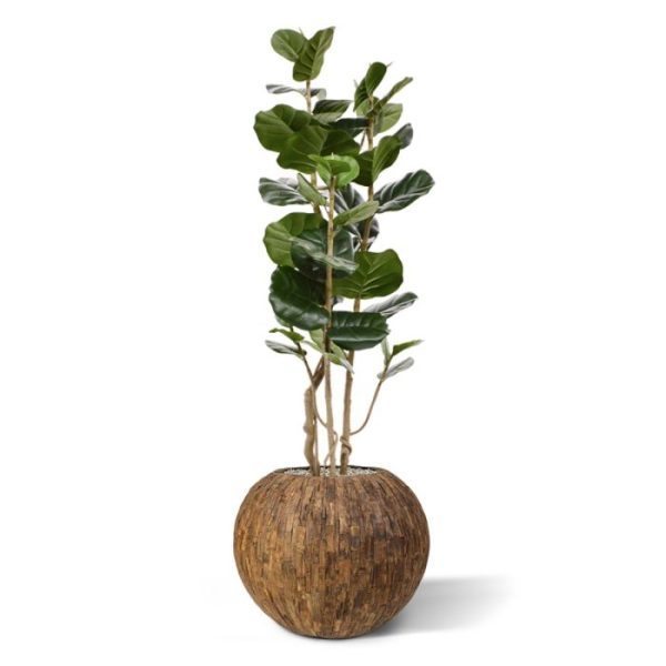 Aralia Polyscias kunstboom 120 cm 8