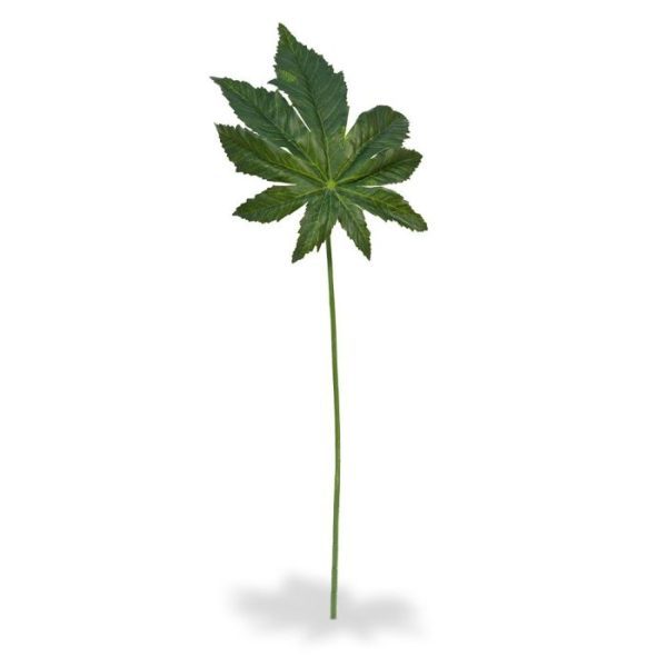 Aralia kunstbladtak 45 cm Deze kunst Aralia bladtak 45 cm dient als basis product voor vele mogelijkheden.   Standaard wordt deze kunsttak los geleverd