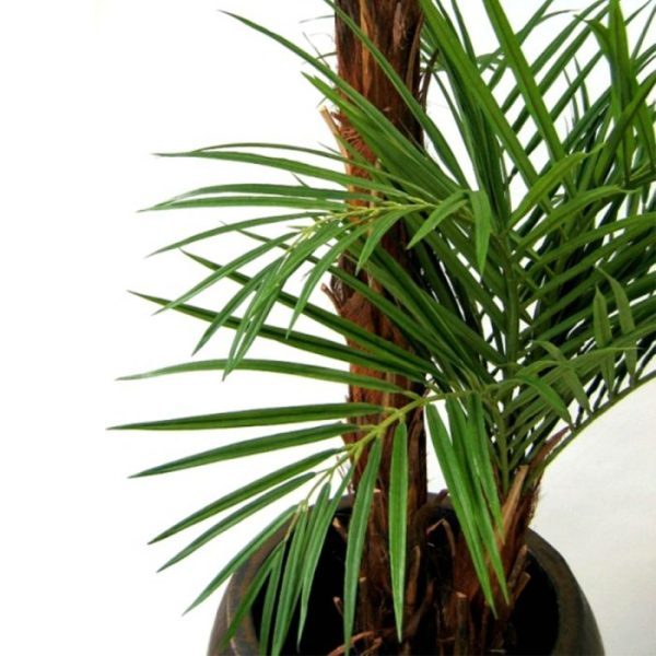 Areca kunstpalm Deluxe 225 cm 3