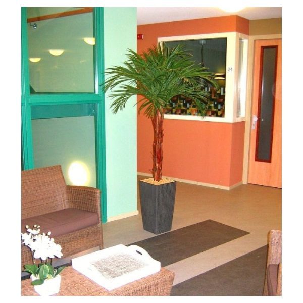 Areca-kunstpalm-op-stam-175-cm-3 Areca kunstpalm op stam 175 cm 3