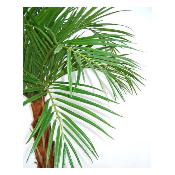 Areca-kunstpalm-op-stam-175-cm-8 Areca kunstpalm op stam 175 cm 8