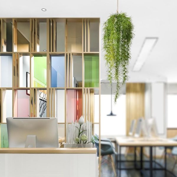 een vederachtig uiterlijk van sterk vertakte stengels en talloze verfijnde naaldvormige zijtakjes.   Deze Spengeri kunstplant bestaat uit 21 strengen en heeft een lengte van ongeveer 60 cm. De breedte bedraagt ongeveer 20 cm. Door middel van het oog kunt u de hanger makkelijk ophangen.   Kies een mooie plek uit en u zult jarenlang genieten van dit mooie stukje 'natuur' in huis.   Vanaf 6 stuks geldt de staffel korting.