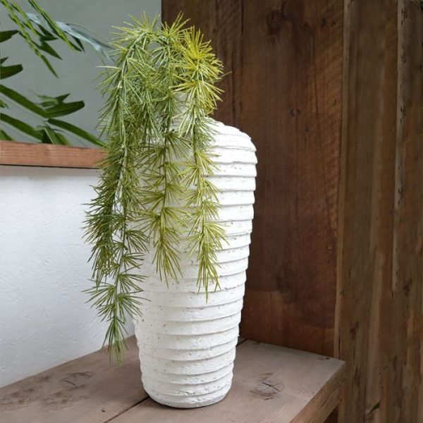 komt oorspronkelijk uit Zuid-Afrika