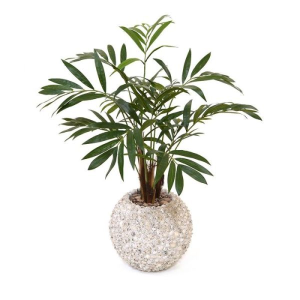 BEACH-planter-30x30-cm-white-shell-5 BEACH planter 30x30 cm white shell 5