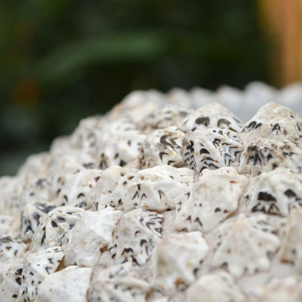 BEACH sierpot 50x40 cm white shell 1