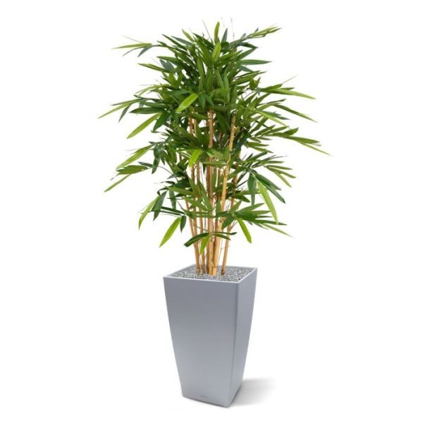 Bamboe Deluxe 120 cm 1