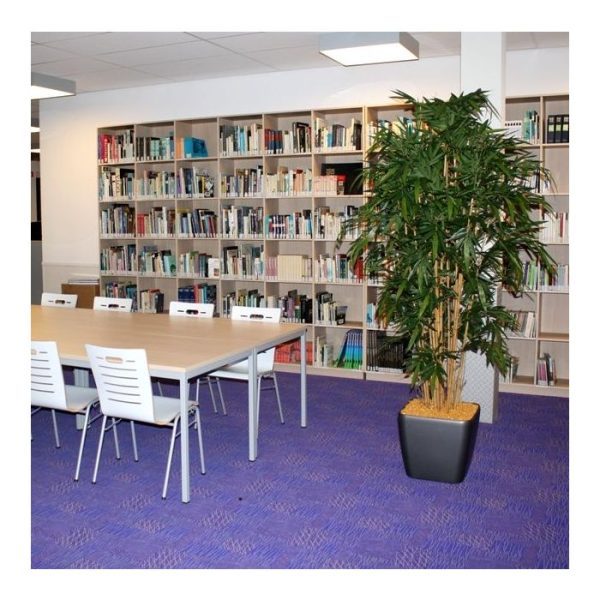 Kunstbomen in een extra zware uitvoering en van een zeer natuurgetrouwe topkwaliteit!   De Bamboe Deluxe is gemaakt op maar liefst 15 echte bamboe stokken en het zijden bamboeblad behoort tot de mooiste van Nederland. In totaal telt de goedgevulde Bamboe ruim 2.100 blaadjes!   De hoogte van de boom is ruim 210 cm en nog gemakkelijk te verlengen door de plant in een hogere pot te plaatsen. Standaard wordt deze boom in een plastic pot geleverd.   Tevens leverbaar in 150 cm