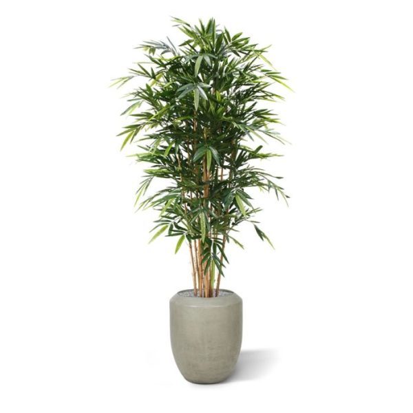 Bamboe-Deluxe-kunstplant-180-cm-9 Bamboe Deluxe kunstplant 180 cm 9