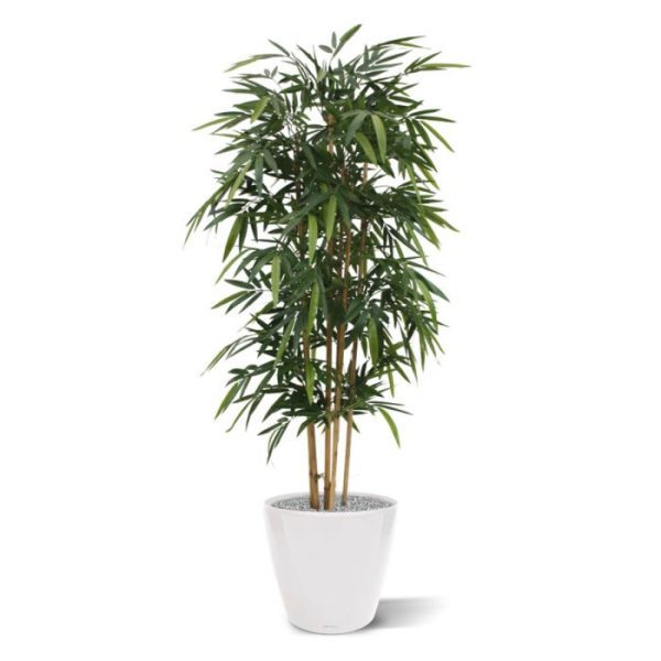 Bamboe kunstplant 180 cm 4