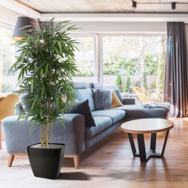 De bestseller onder de kunstbomen van een zeer natuurgetrouwe topkwaliteit!   Deze bamboe is gemaakt van echte bamboe stokken en het zijden bamboeblad behoort tot de mooiste van Nederland!  De hoogte van de boom is 180cm. Standaard wordt deze boom in een plastic pot geleverd.