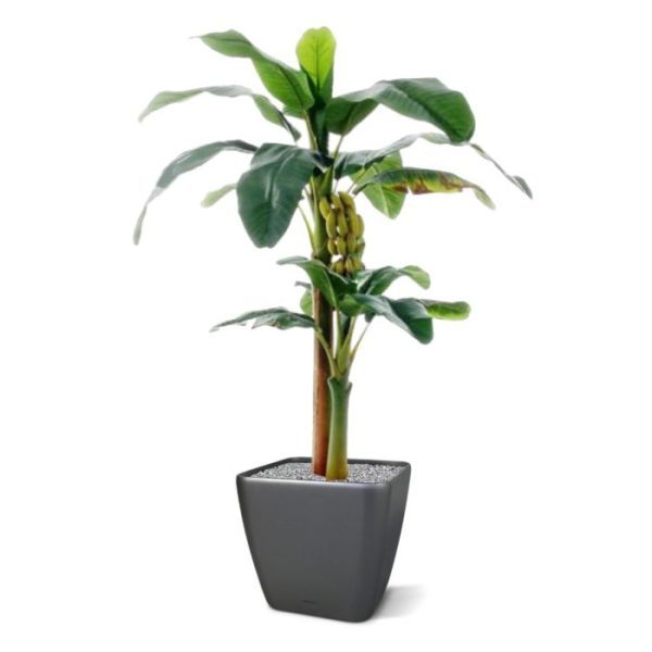 Banaan-140-cm-kunstboom-4 Banaan 140 cm kunstboom 4