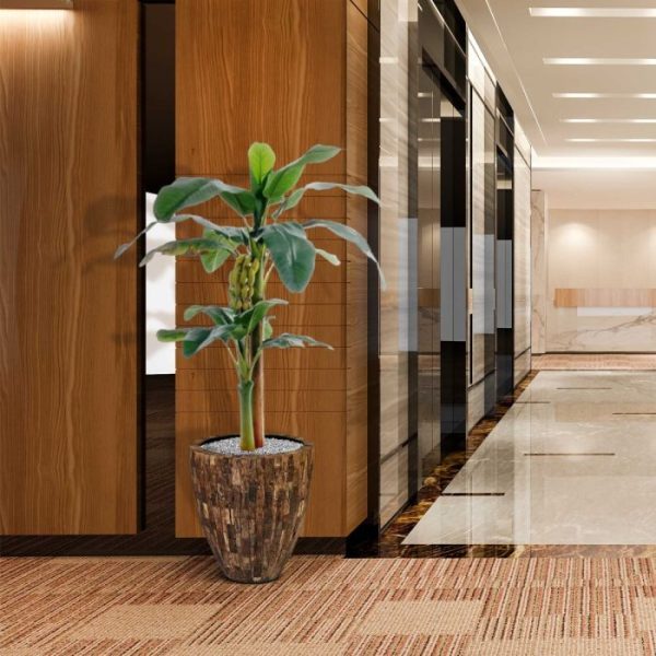 Banaan 140 cm kunstboom Deze kunstzijden banaan boom ziet er wel heel erg natuurlijk uit! De boom is opgebouwd uit 2 stammen met zeer natuurgetrouwe bladeren en een mooie tros bananen. De kunstboom wordt geleverd in plastic pot zoals afgebeeld en is 135 -140 cm hoog