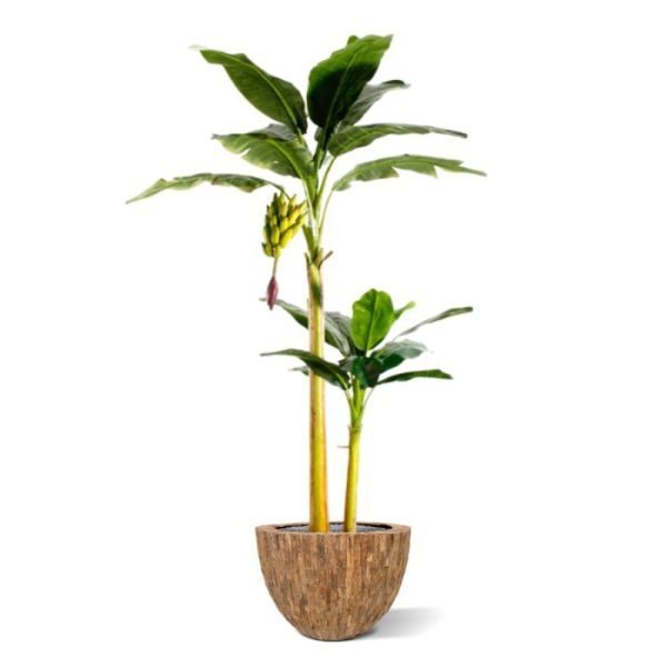 Kunstbomen heeft een diameter van ± 120 cm en is totaal ± 240 cm hoog.