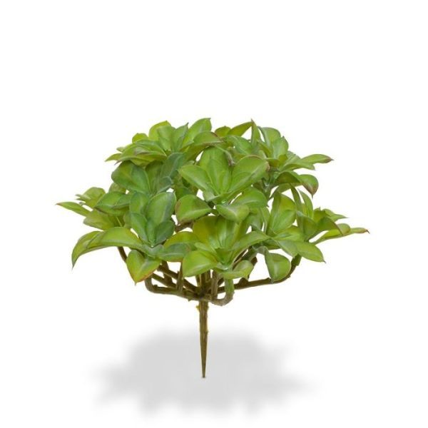 Kunstbloemen met deze cactusachtige vetplant zijn prachtige combinaties te maken in een decoratief plantenarrangement. De hoogte van de nagemaakte kunstbeautertia is