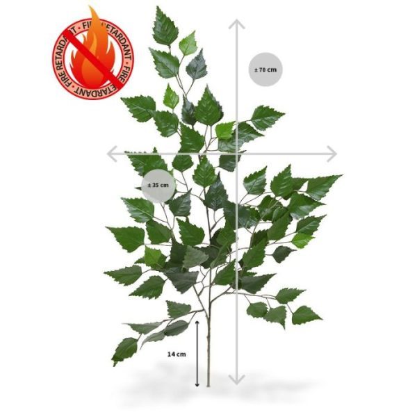 Deze brandvertragende Berken kunsttak 70 cm dient als basis voor vele toepassingen. De kunstzijden berkenblaadjes zijn gemaakt op basis van het echte berkenblad en krijgen hierdoor een natuurlijke look. De lengte van deze nagemaakte Berken Tak is ongeveer 65 cm en de breedte bedraagt ongeveer 35 cm. Standaard wordt de tak los geleverd zodat ze makkelijk te verwerken zijn tot compleet op maat gemaakte Berkenbomen. Er zijn vele mogelijkheden denkbaar