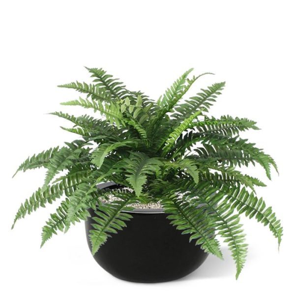 zodat deze eenvoudig in een sierpot kan worden gezet.