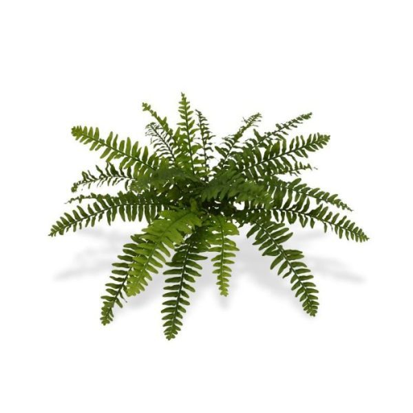 Groene kunstplanten wat de kunstplant een bijzonder natuurlijke uitstraling geeft. De hoogte van deze net echt lijkende kunstvaren is