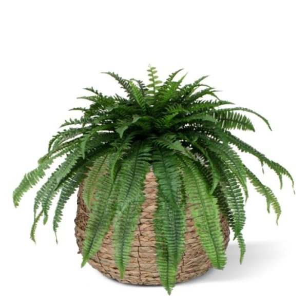 maar ook in een horeca gelegenheid of zwembad maakt u in een handomdraai meer sfeer!  Deze luxe maat kunst Varen is opgebouwd uit 90 bladeren in variërende lengtes