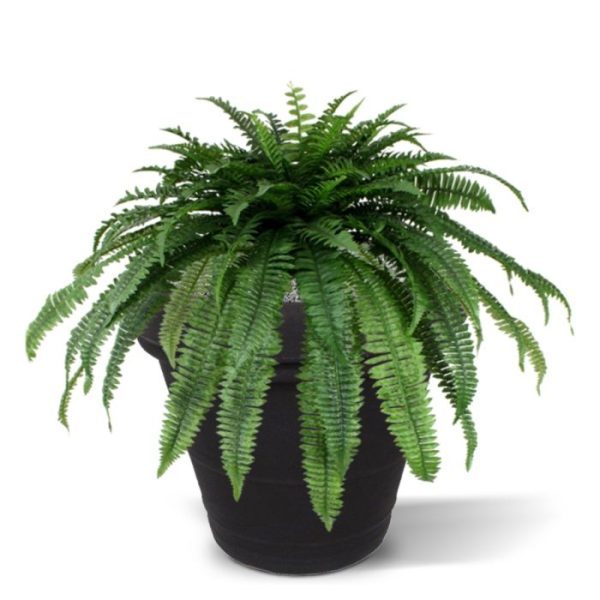 welke gemonteerd zijn op een centrale stam