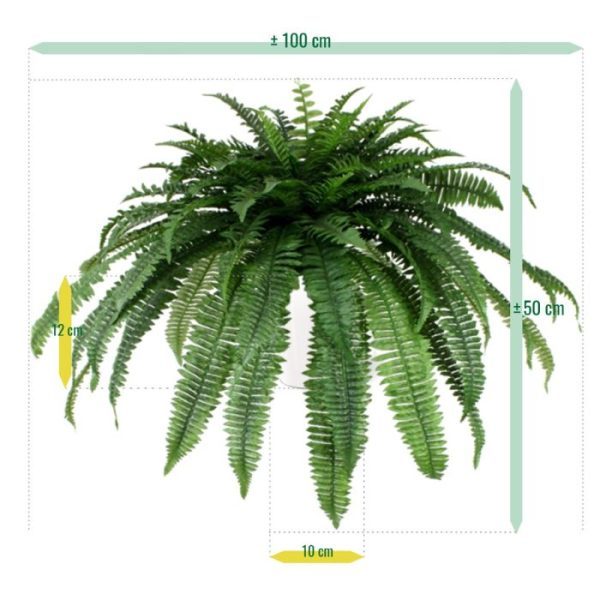 zodat u de varen eenvoudig in een sierpot kunt decoreren. De mooie bladprint en de buigbaarheid van de bladeren zorgen voor een natuurlijke uitstraling. Tevens leverbaar in een kleinere versie van 65cm.  Deze varen wordt geleverd zonder pot en vanaf 4 stuks profiteert u van een voordeelprijs.