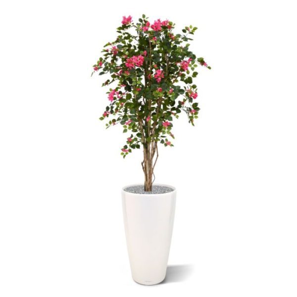 ziet de zijden Bougainvillea kunst boom er heel natuurlijk uit! De boom laat zich prima presenteren in zowel een hoge als ook een lage sierpot. De hoogte van de Bougainvillea is ongeveer 150 cm