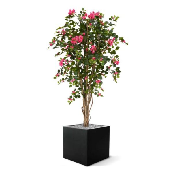 en tevens verkrijgbaar in verschillende varianten.