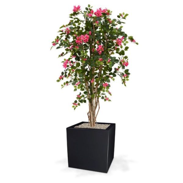 Deze schitterende Bougainvillea kunstboom ziet er bijzonder natuurgetrouw uit en is van de hoogste kwaliteit. De vele paarse zijden bloemetjes zijn een lust voor het oog. Door zijn diversiteit aan verschillende kleurtonen en meerdere stammen van echt hout