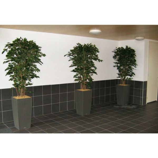 Brandvertragende-Ficus-Exotica-Deluxe-kunstplant-180-cm-groen-FR-6 Brandvertragende Ficus Exotica Deluxe kunstplant 180 cm groen FR 6