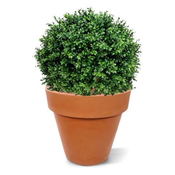 Kunstplanten zullen deze gedurende 8 jaar lang beschermt zijn tegen verkleuren.  Let op! De stam is van echt hout en dus vatbaar voor weersinvloeden en zwammen. Voor een langere levensduur raden wij aan om de stam te behandelen met een primer of beits.