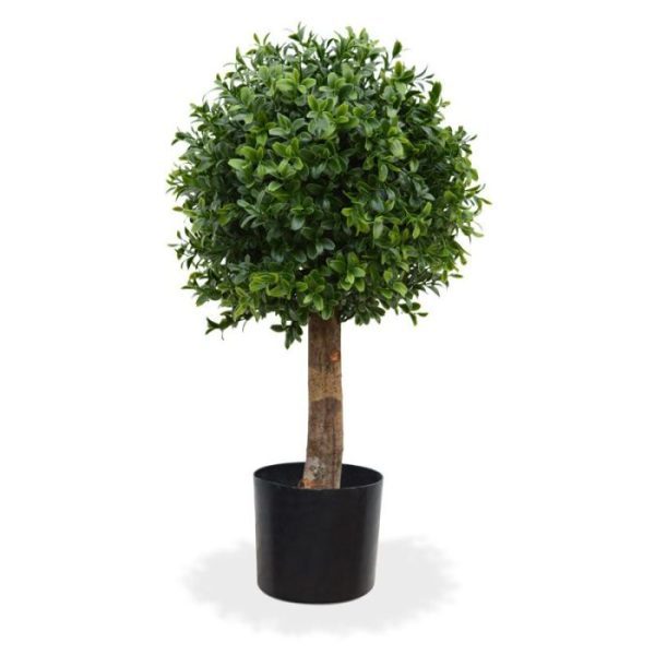 al staan ze ook zeer decoratief per 2 in een sierbak. De vernieuwde versie is met name door zijn kleur en nieuwe blaadjes bijna niet meer van de echte Buxus te onderscheiden! De kunst Buxus bol is totaal zo'n 45 cm hoog