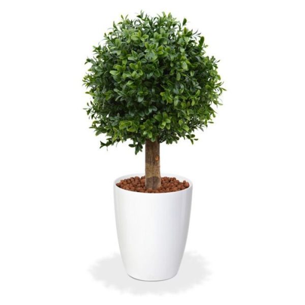 met een diameter van ongeveer 25 cm. Standaard wordt de Buxusbol geleverd in een plastic binnenpot. De afgebeelde sierbak (Virginia Small 50x20x20 cm) is tegen meerprijs leverbaar. Let op! De stam is van echt hout en dus vatbaar voor weersinvloeden en zwammen. Voor een langere levensduur raden wij aan om de stam te behandelen met een primer of beits.